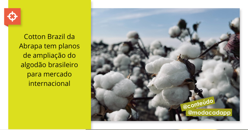 Cotton Brazil Da Abrapa Tem Planos De Amplia O Do Algod O Brasileiro