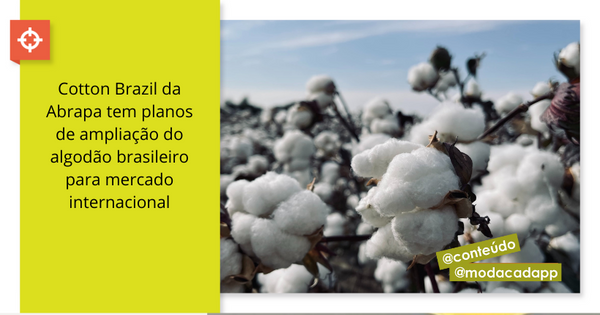 Cotton Brazil da Abrapa tem planos de ampliação do algodão brasileiro para mercado internacional